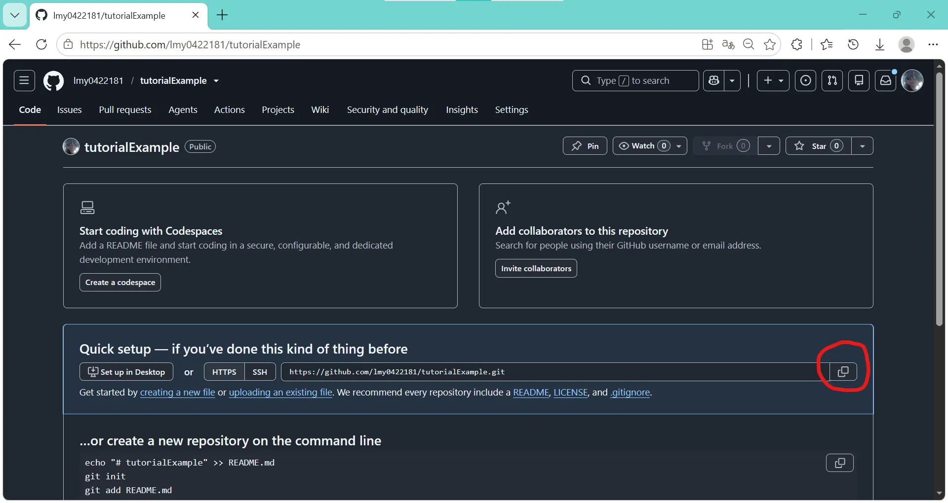 github-new-created-code-copy